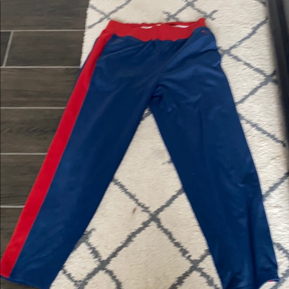 North face pants